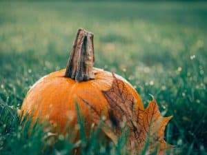 pumpkin and leaf, fall mabon celebration