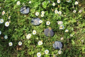Reiki symbols on small flat stones lying in the grass 