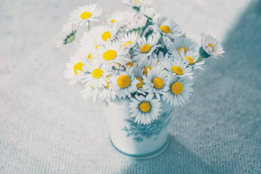 wildflower bouquet, easy self-care tip - daisies in a white vase