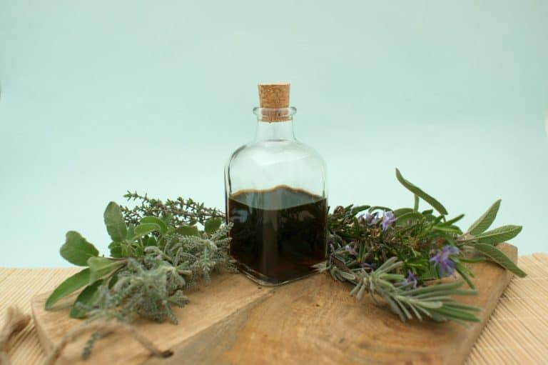 What is plant medicine? The basics. Bottle surrounded by plant material.