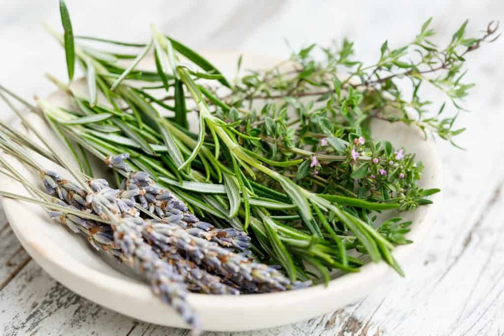Learning plant medicine for beginners- dish with common herbs shown including thyme and lavender.