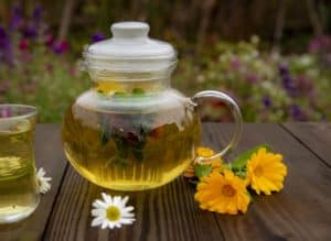 What is plant medicine? The basics. Glass tea pot surrounded by a few blossoms.