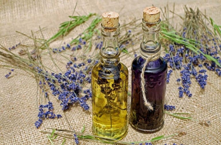 Bottles of home prepared herbal remedies and plant medicines.