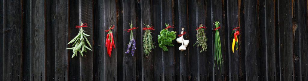 Plant medicine to make in the fall. Showing herbs hanging to dry against a wall.