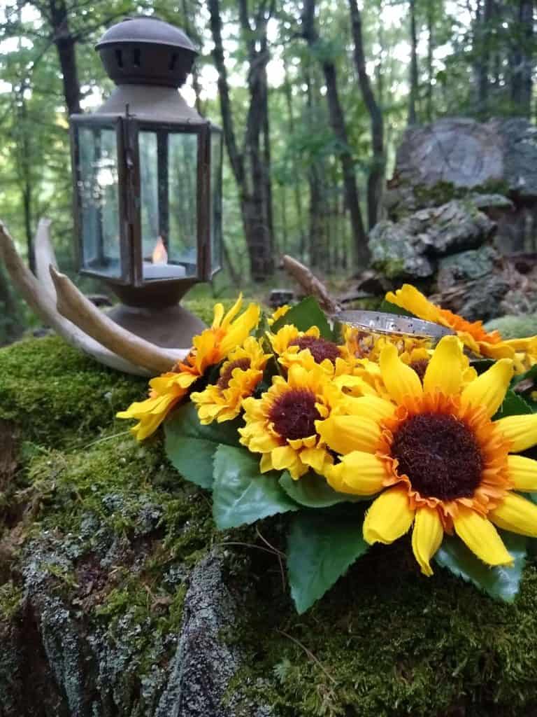 Wheel of the Year nature altar. Sunflowers, lantern, deer antler on a stump.