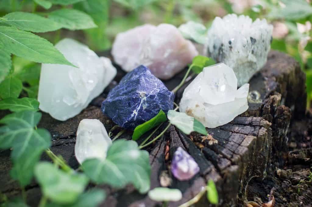 assorted crystals laying on a tree stump surrounded by greenery