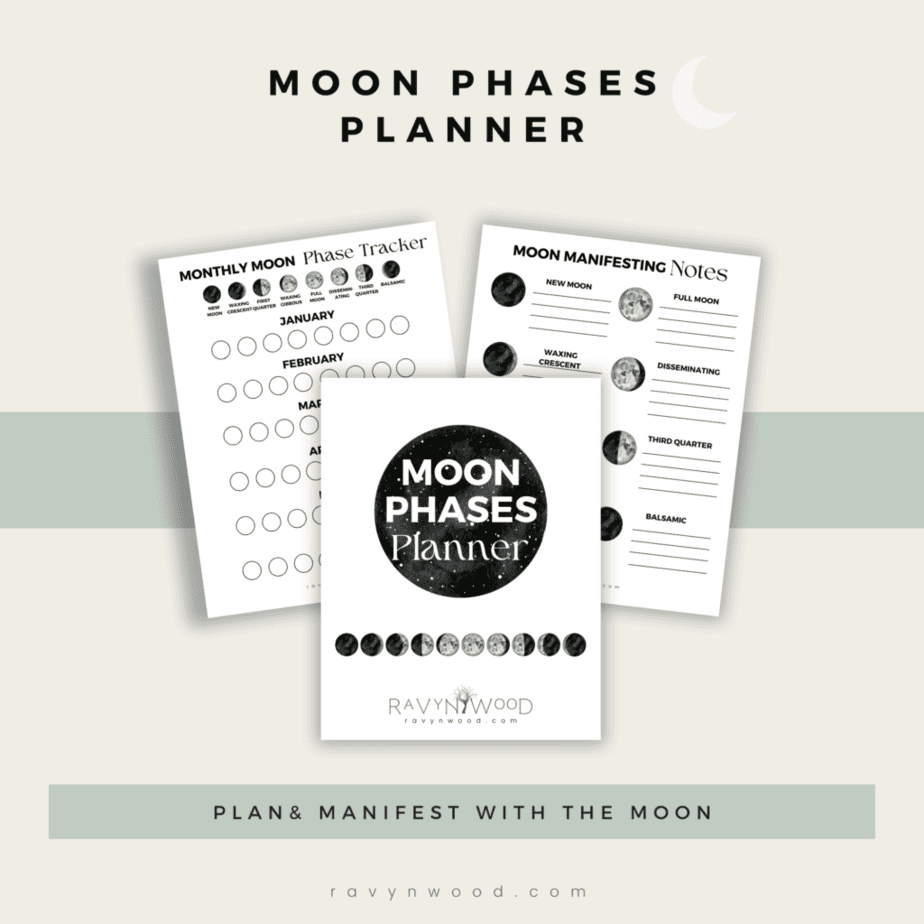 Printables shop mock up image of the moon phases planner. Sample pages including cover and two interior pages.