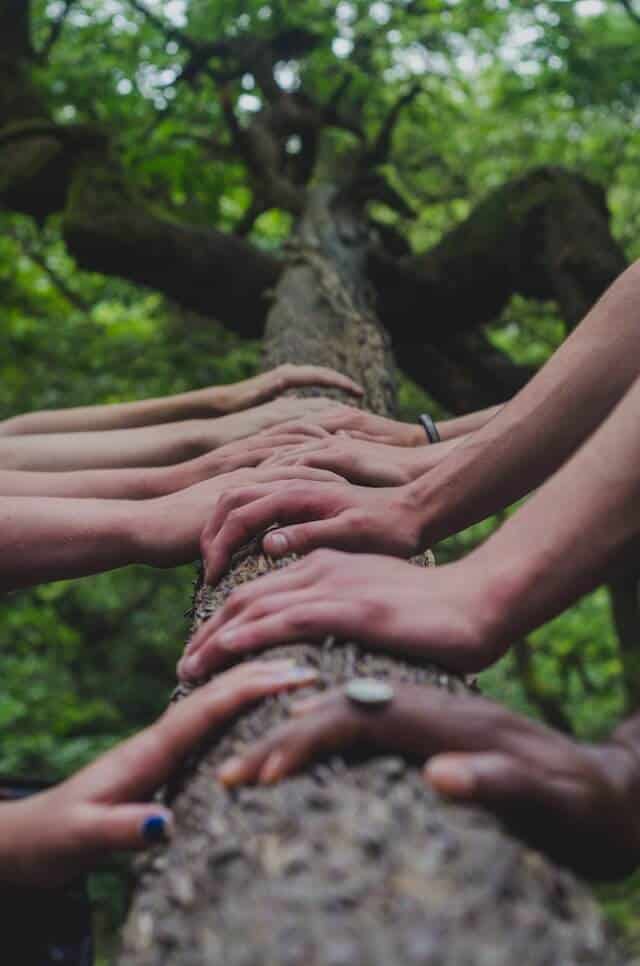 Hands across a fallen log depicting the community in this program.