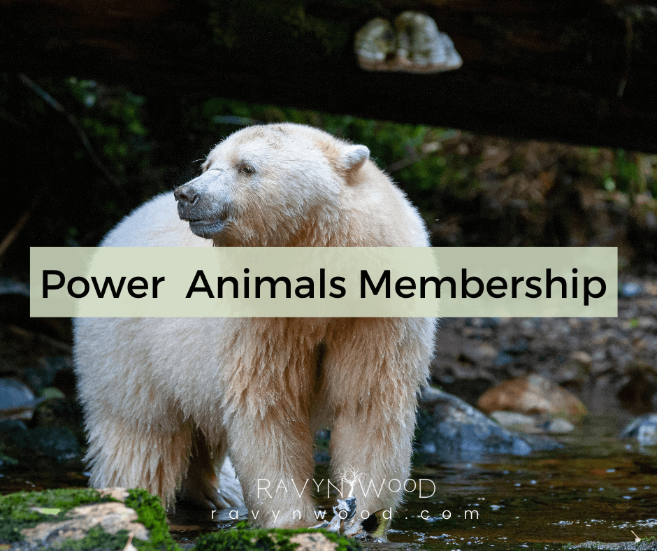 power animals membership emblem with spirit bear