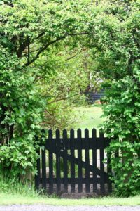 a garden gate with a pathway visible through the trees to symbolize the sacred year journey for the solitary green witch 