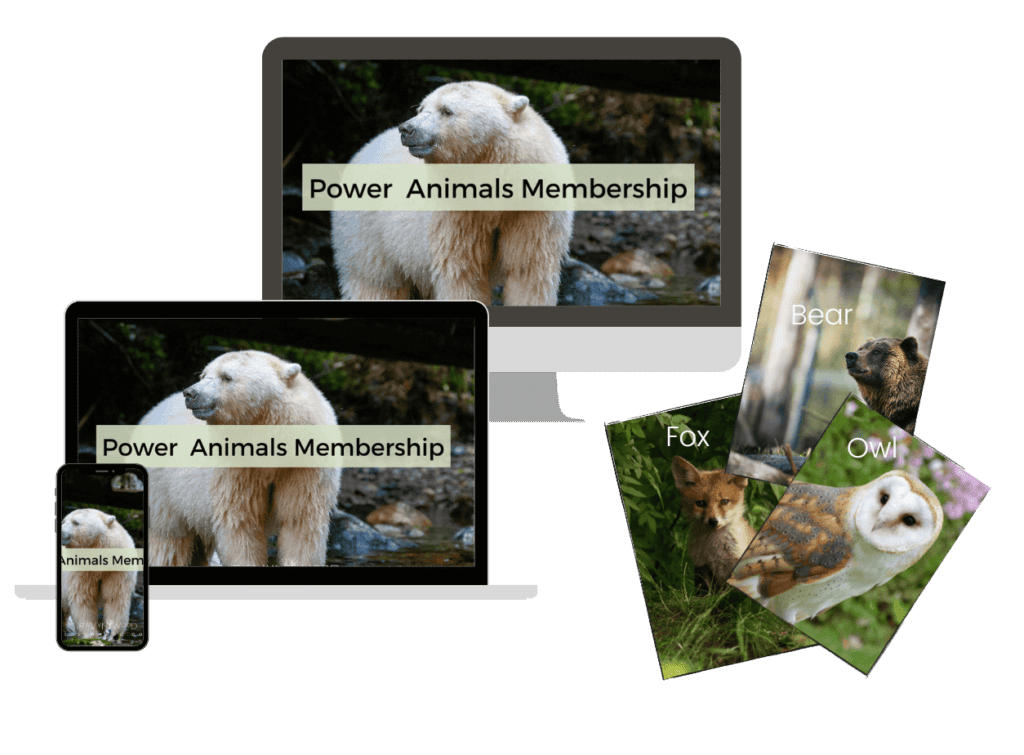 Power Animals Membership graphic shown on various screens with fox, owl and bear images beside it.
