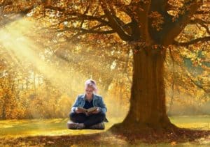 woman seated crossleggedunder a single tree with sunbeams illuminating her. She's reading a book. 