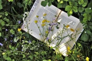 open book laying in grass with flowers across the pages, witchy books. 