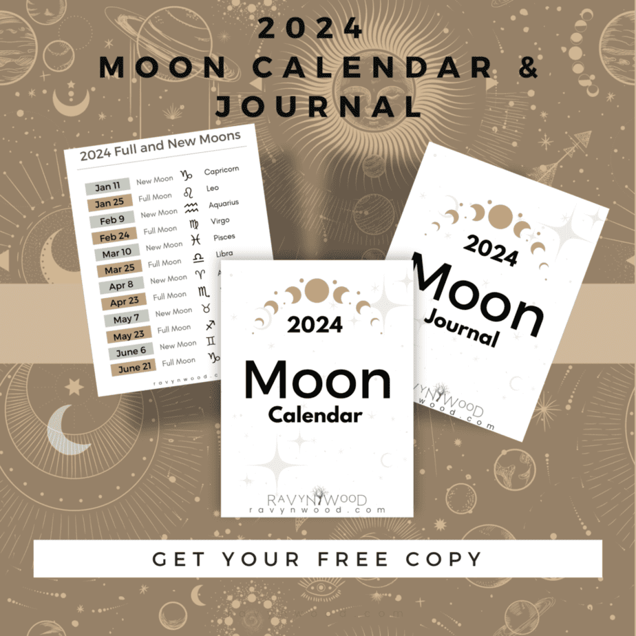 2024 moon calendar mock up