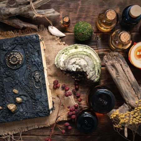 How to Work with Your Altar 4 spellbook and tools lying on a flat surface