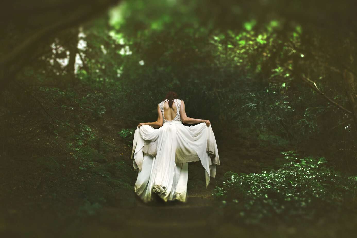 What is a Green Witch? 5 What is a green witch? Showing a woman walking away from the camera, wearing a long white dress. Going into a forest, depicting the green witch.