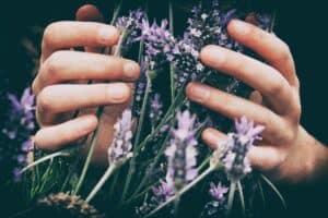 hands lightly grasping purple flowers that appear to be lavender blooms, helping to answer the question what is a green witch? 