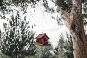birdhouse hanging from a tree with bushes in the background 