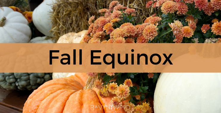 pumpkins and chrysanthemums in a fall background to represent fall equinox