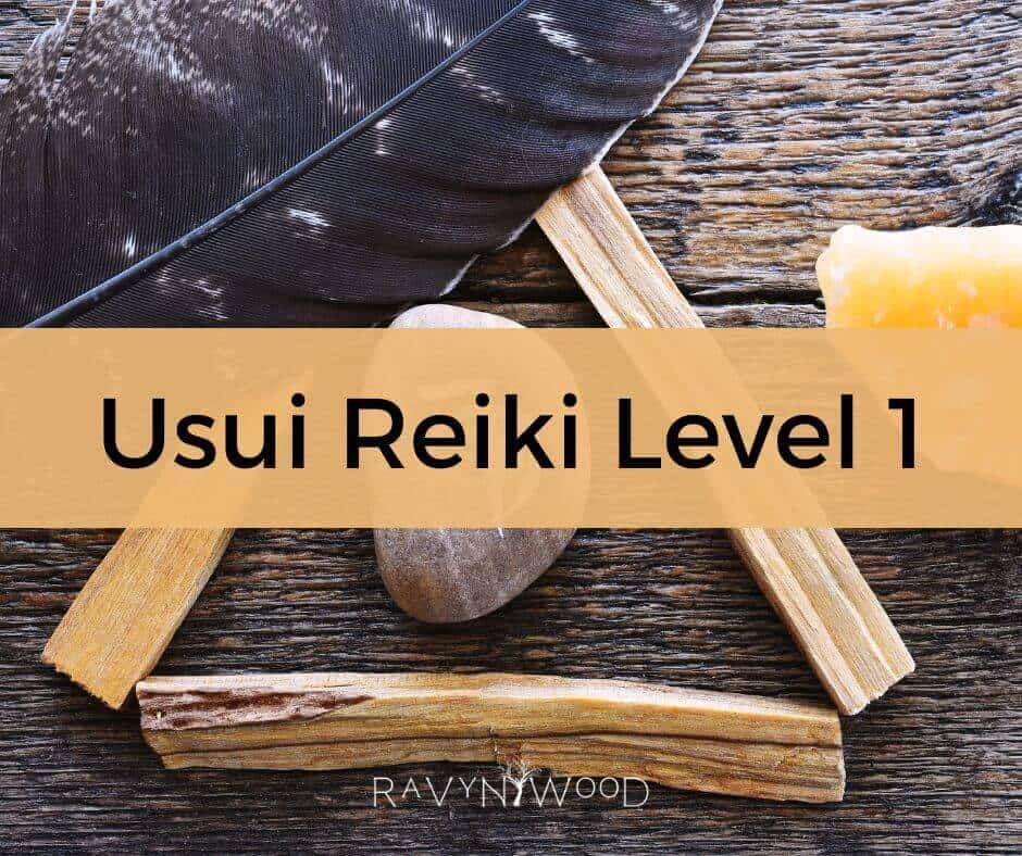 Usui Reiki Level 1 written across front of image. Behind that is a symbol, a feather, and assorted sticks.