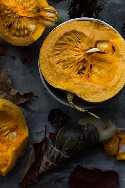 halves of squashes to depict harvest season meals