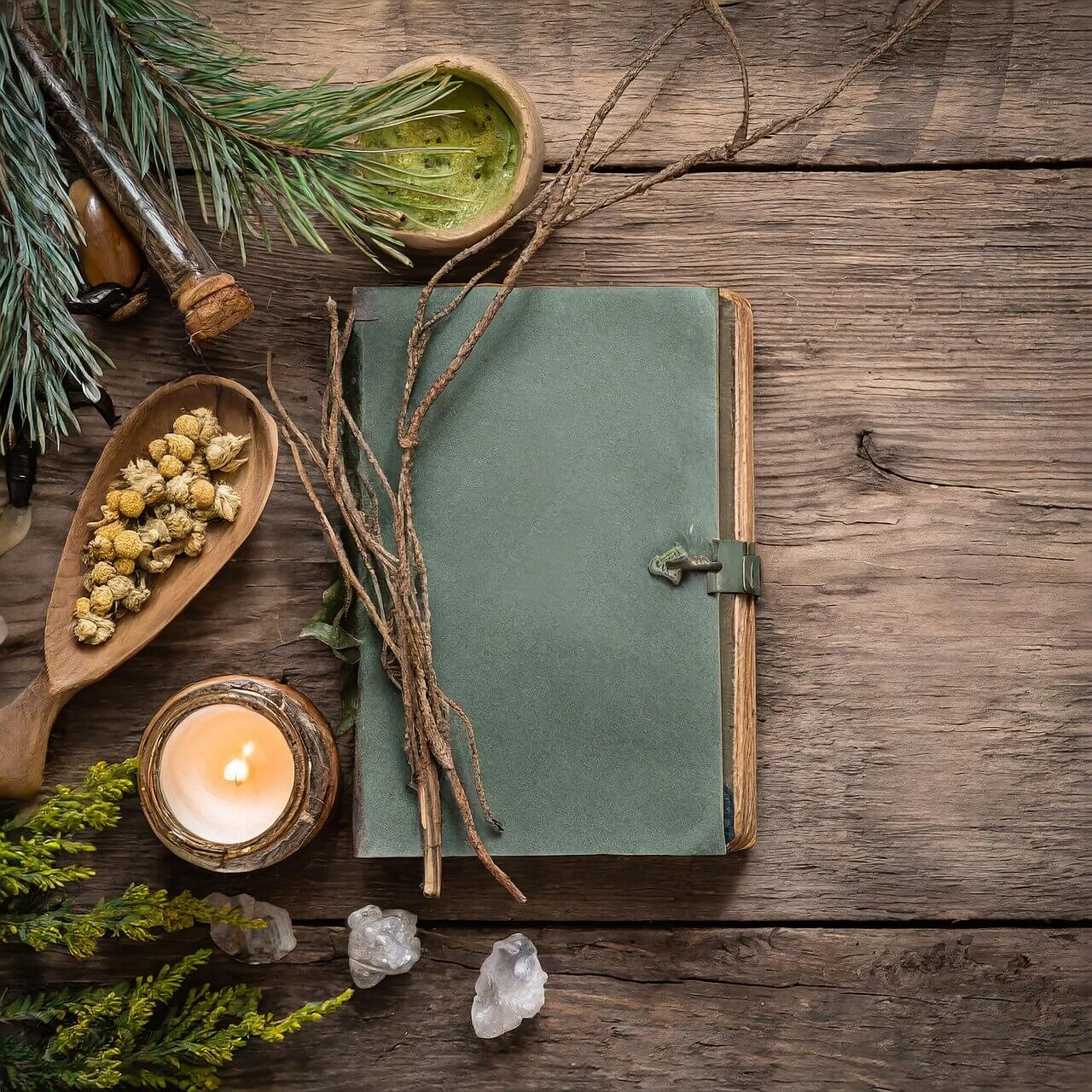 green journal with natural elements surrounding it 