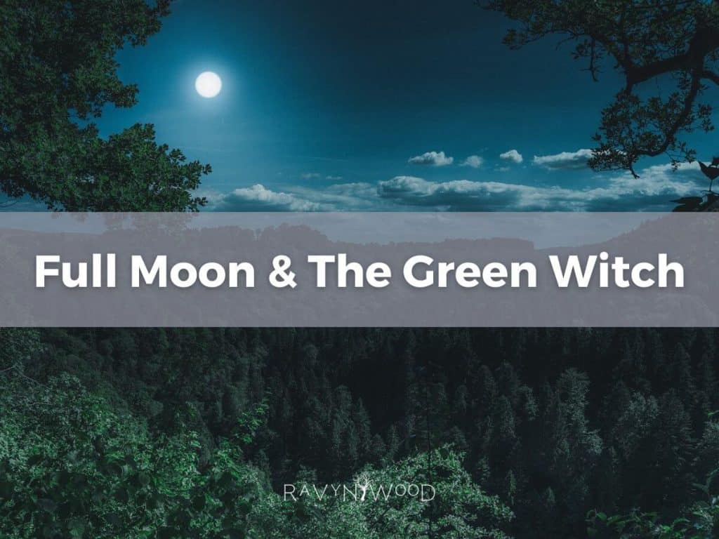 full moon shown over a wooded area with full moon & the green witch title written on a gray banner