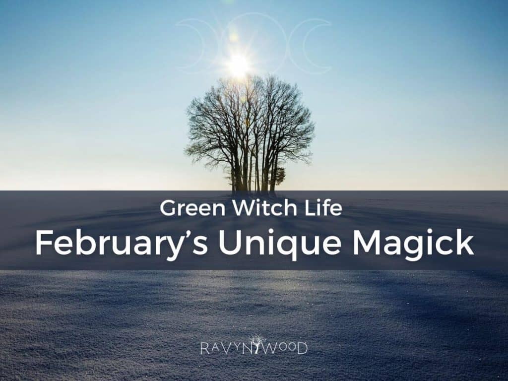 snowy ground with a single tree and sun shining through it in the background. Serene winter scene to depict February's unique magick