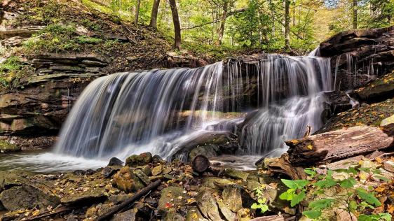 Simple Ways to Connect to Nature: Reclaim Your Link 3 Connect ot nature image of a waterfall in a wooded natural setting.
