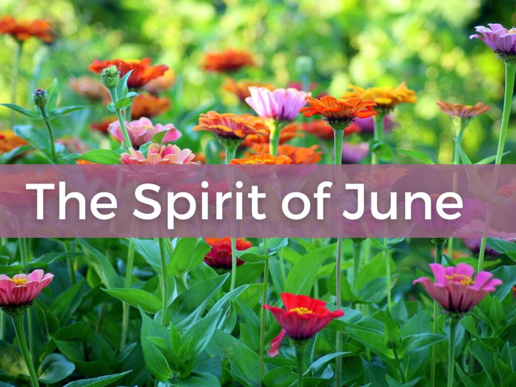 the spirit of June depicted by blooming zinnias with the the title written across it