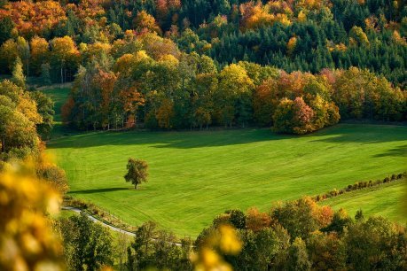 Green Witch Life: The Unique Magick of September 7 Aerial view of the landscape including an open field edged by fencing and a tree line that's starting to show fall colors to show the magick of September