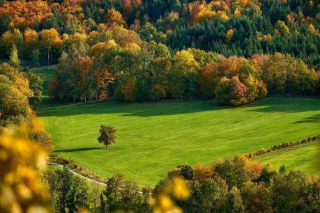 Aerial view of the landscape including an open field edged by fencing and a tree line that's starting to show fall colors to show the magick of September 