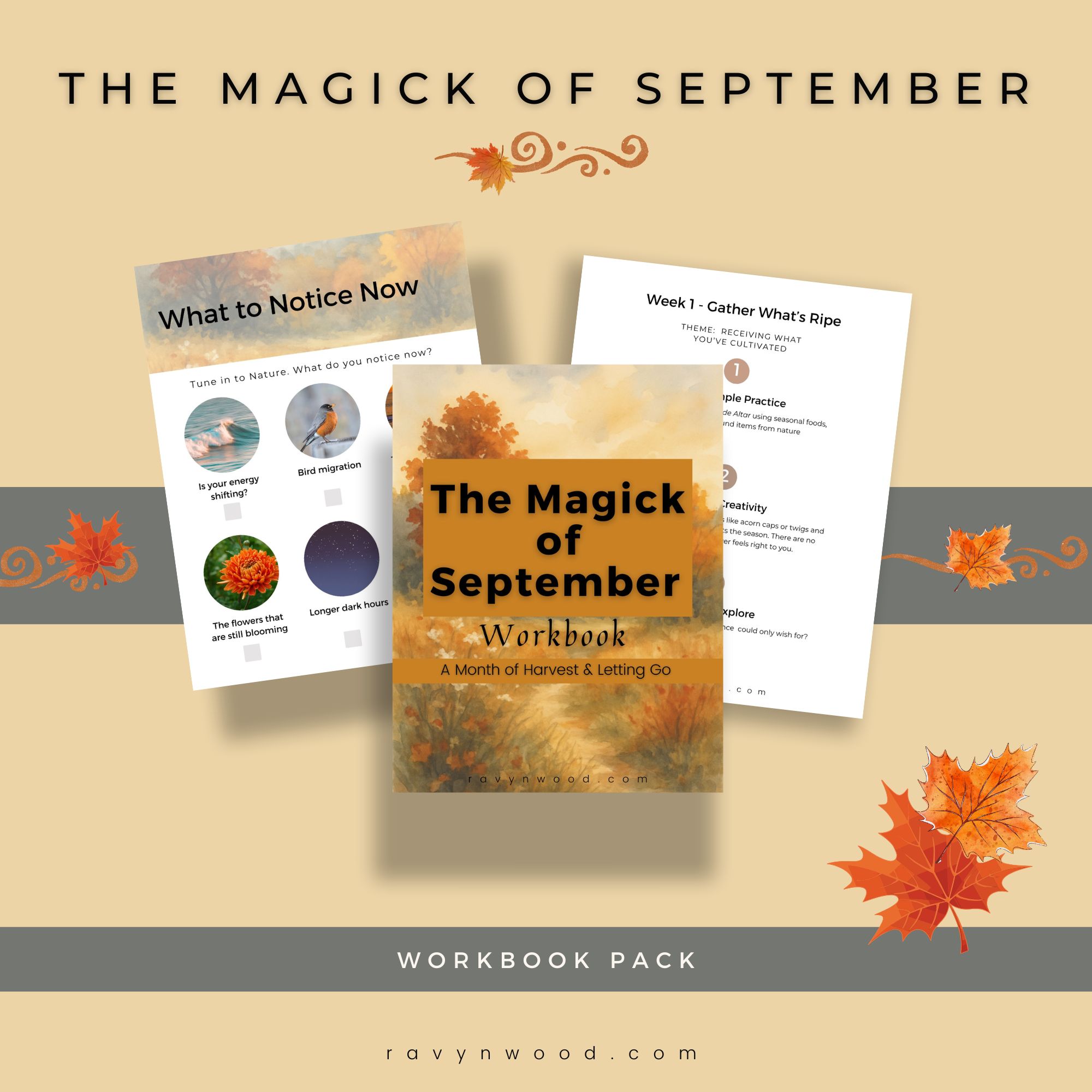 Green Witch Life: The Unique Magick of September 9 the promo image for the magick of September workbook from ravynwood.com shows selected pages from it
