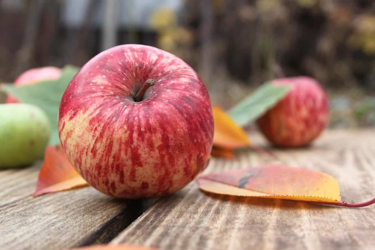 red apple shown a wooden picnic table surface with colored leaves around it and other apples nearby. 