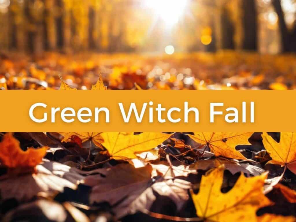 colored leaves strewn across a pathway with trees lining each side and the setting sun is in the background symbolizing green witch fall