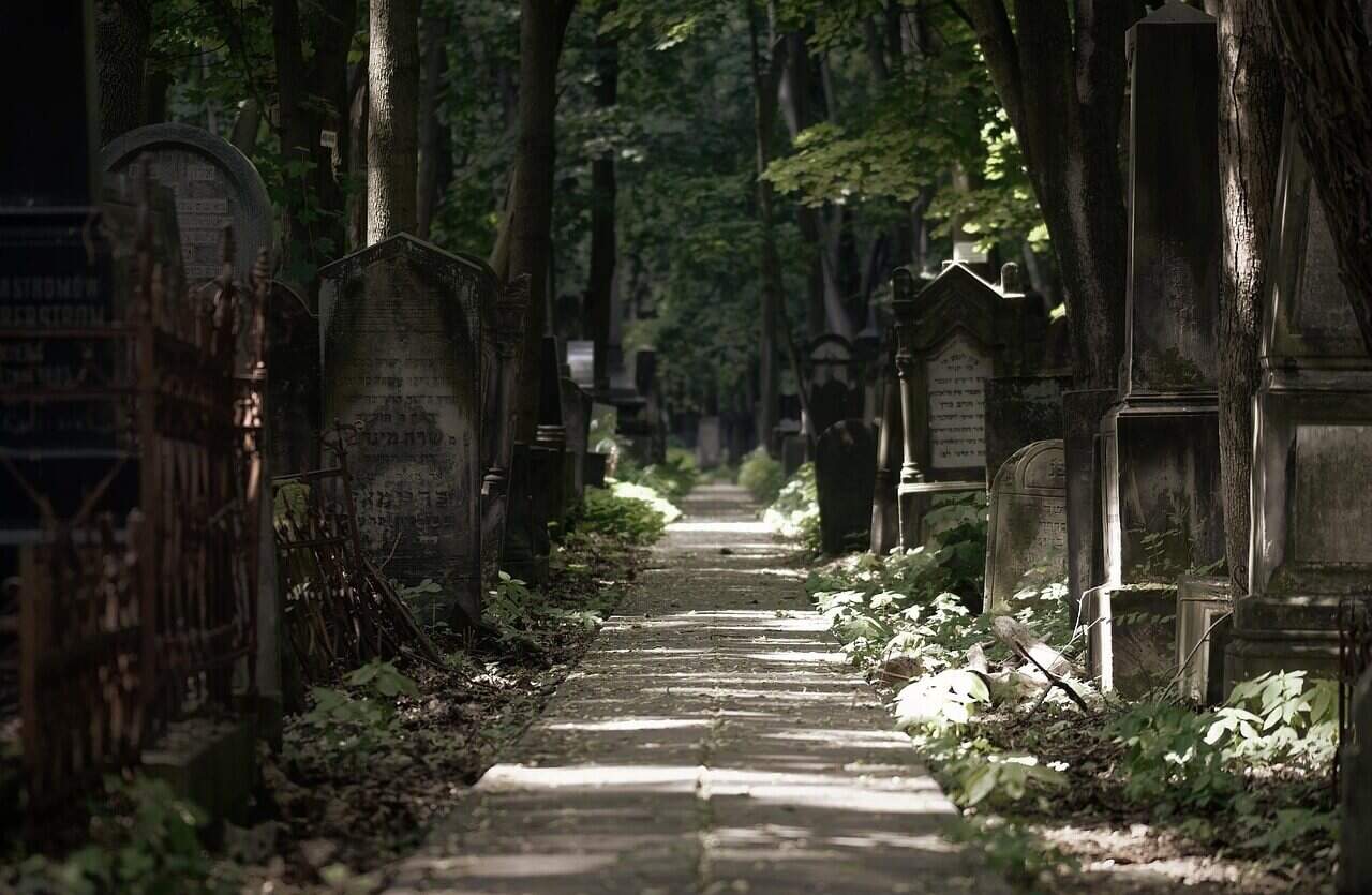 Working with your ancestors depicted through an image of a graveyard with a well kept path leading through it with gravesites visible on both sides. Serene and peaceful image. 