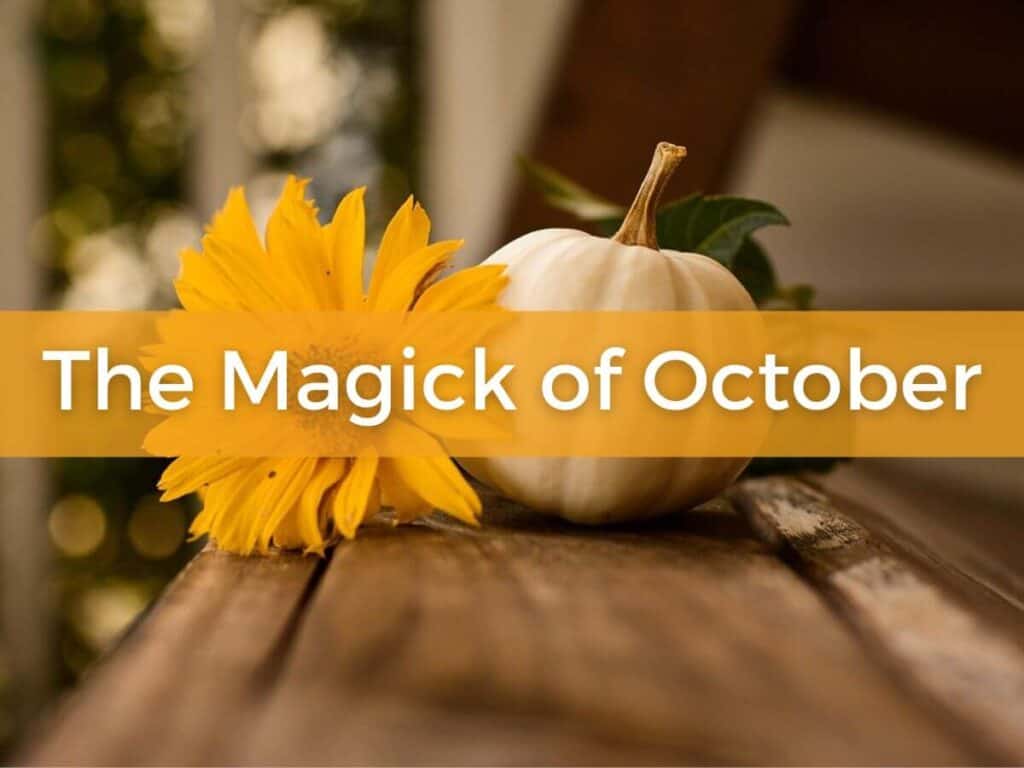 The Magick of October text across image of a yellow flower and white pumpkin shown on a natural board