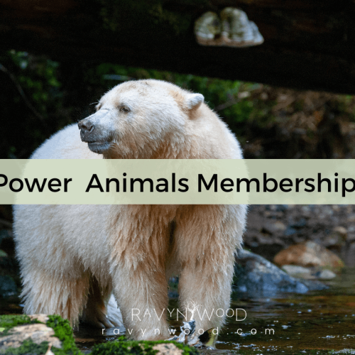 Power Animal Membership, showing a white spirit bear with the name of the membership with a natural background